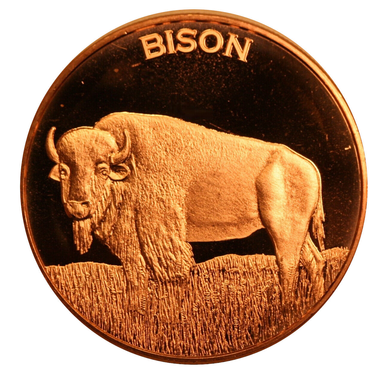 1 Oz Copper Round - Bison